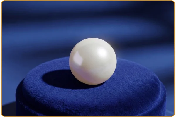 South Sea Pearl